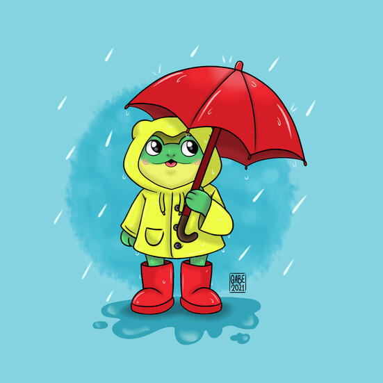 Frog in the rain